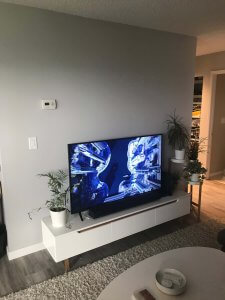 Photo of white TV stand with TV on top. On either side is a plant stand with plants. The wall behind is light grey.